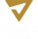 Logo Voxo